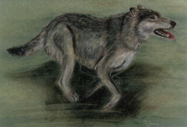 Pako,pastelli,pariisinpaperi,v.1992